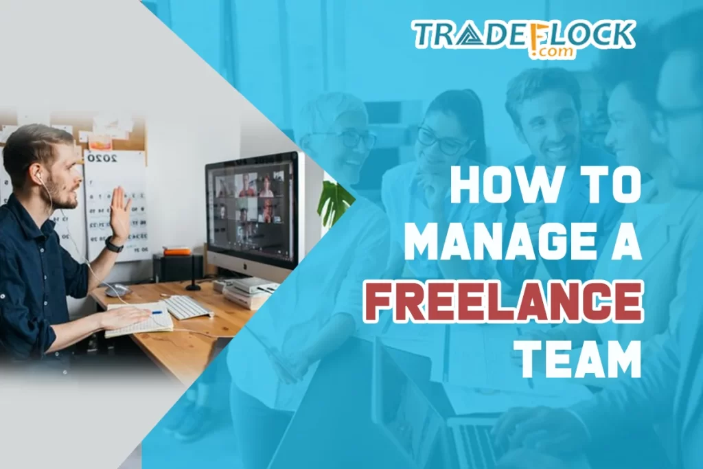 How to Manage Freelance Team – Managements, Budget, and Software