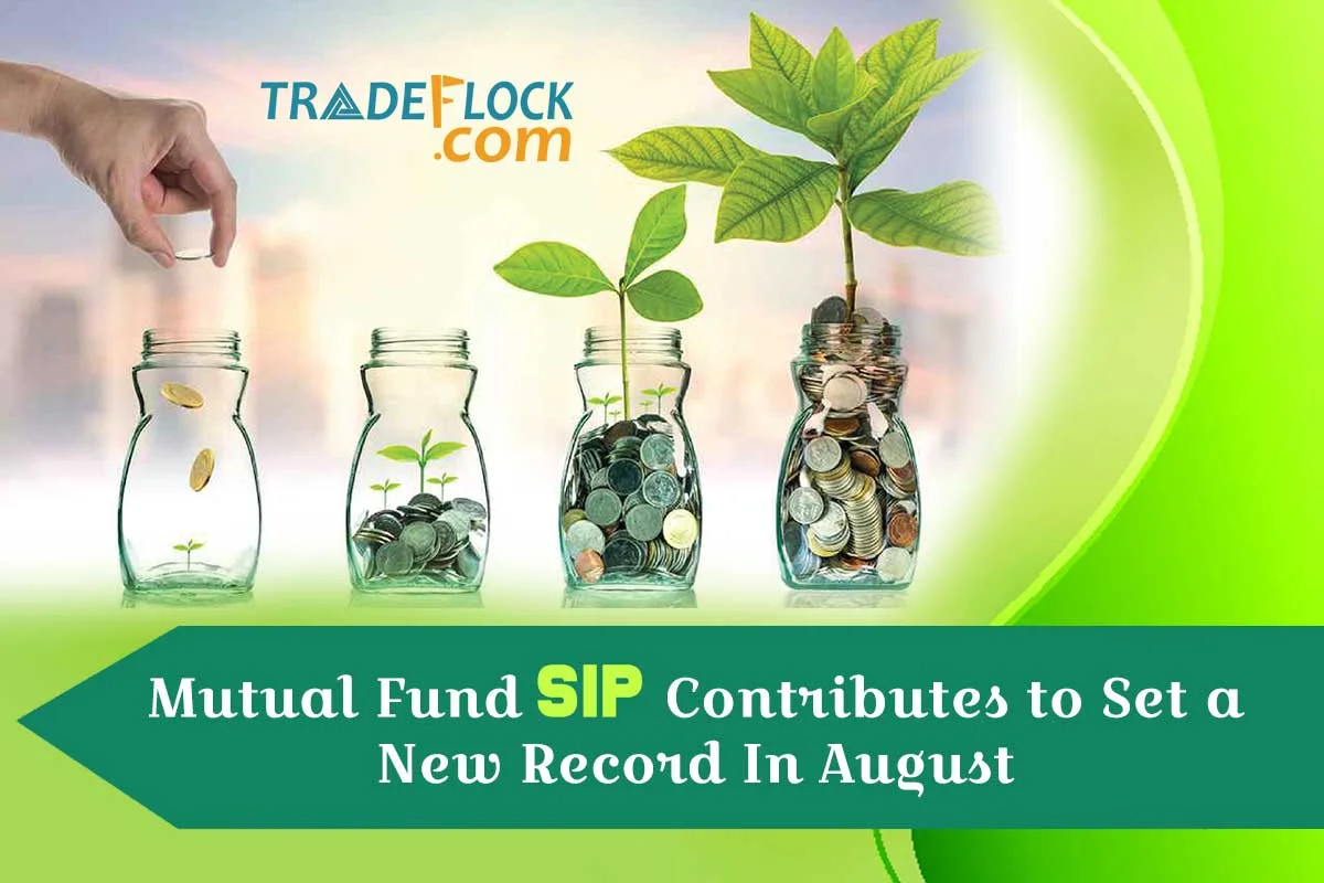 Mutual Fund SIP Contributes to Set a New Record In August