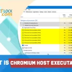 What is Chromium Host Executable? How to Resolve it?