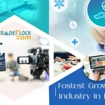 11 Top And Fastest-Growing Industry In India