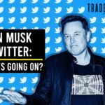 Elon Musk and Twitter: What’s Going On Between Them?