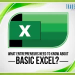 What Entrepreneurs Need to Know about Basic Excel?