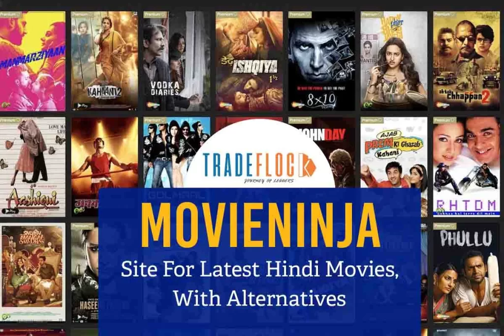 MovieNinja: Site For Latest Hindi Movies, With Alternatives
