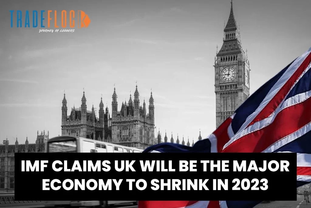 UK Economy Is Expected To Shrink in 2023- IMF