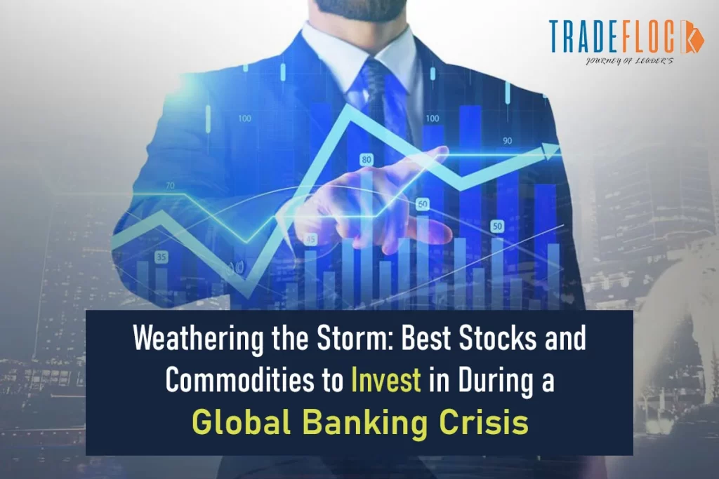 Weathering the Storm: Best Stocks and Commodities to Invest in During a Global Banking Crisis