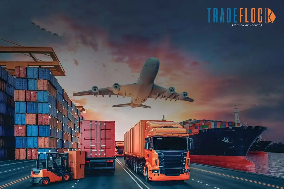 The Logistics Leap: The Evolution of Cross-Border E-commerce Logistics in Asia