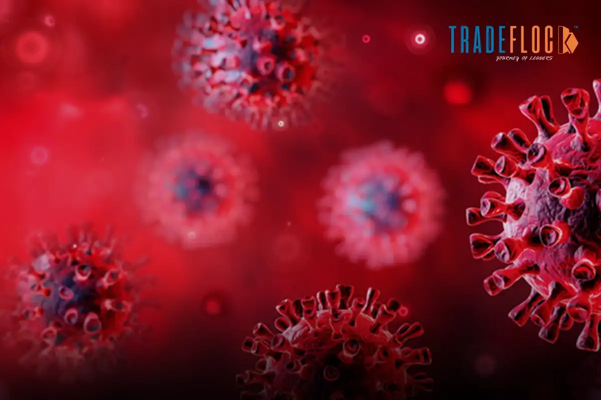 The Winter Whisper of a New Viral Storm: How Winter Fuels HMPV’s Surge in Asia? 