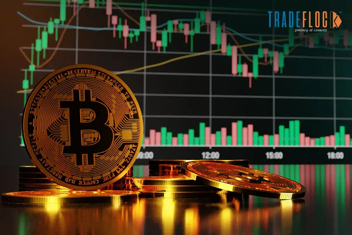 Crypto Is No Longer Fringe—Is Your CFO Ready?