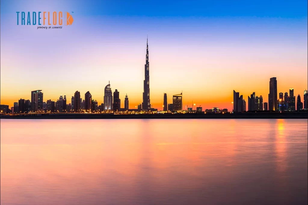 Rayna Tours: From a Small Travel Counter to a Global Destination Management Leader