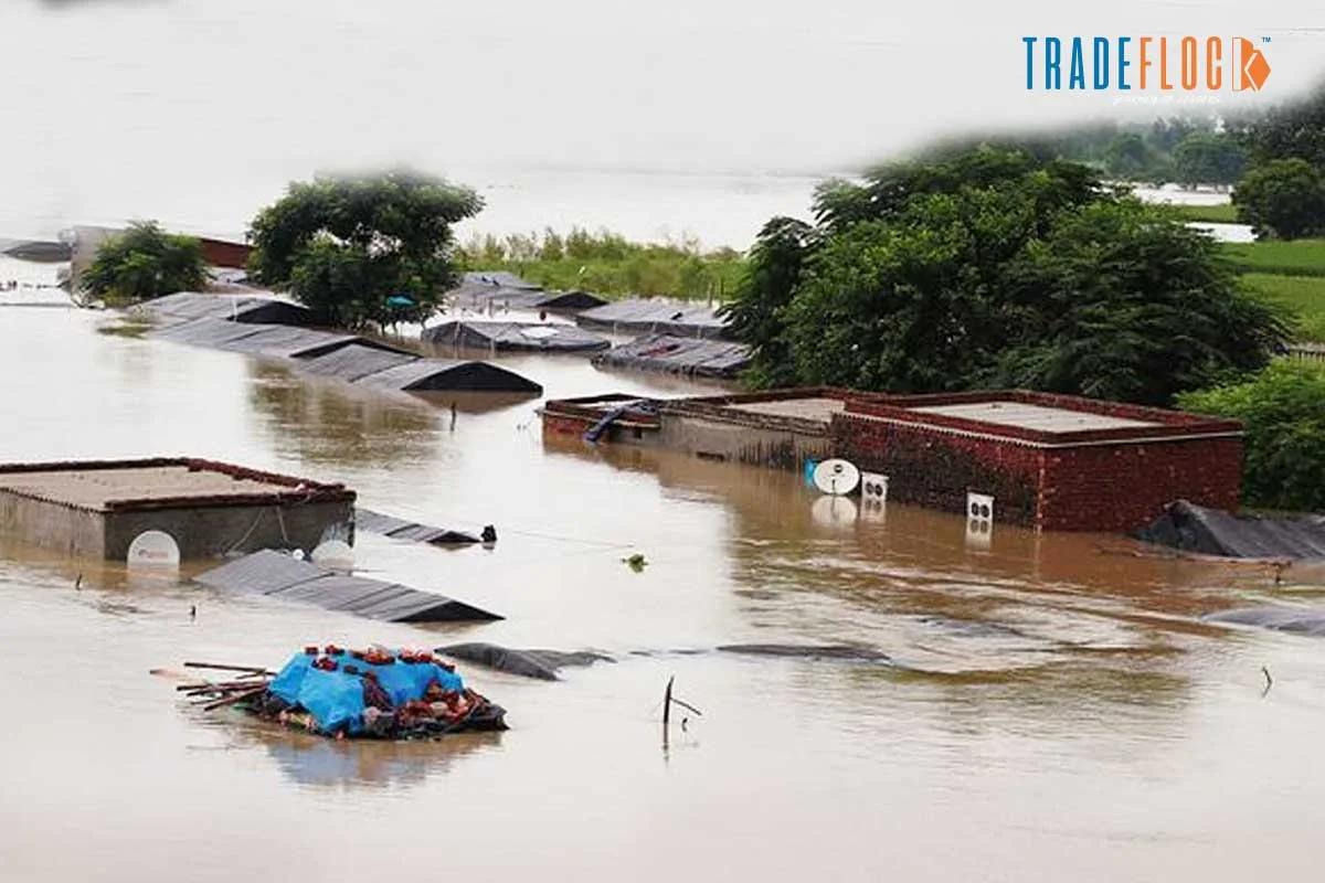 Punjab Under Water: When Monsoons Turned Merciless