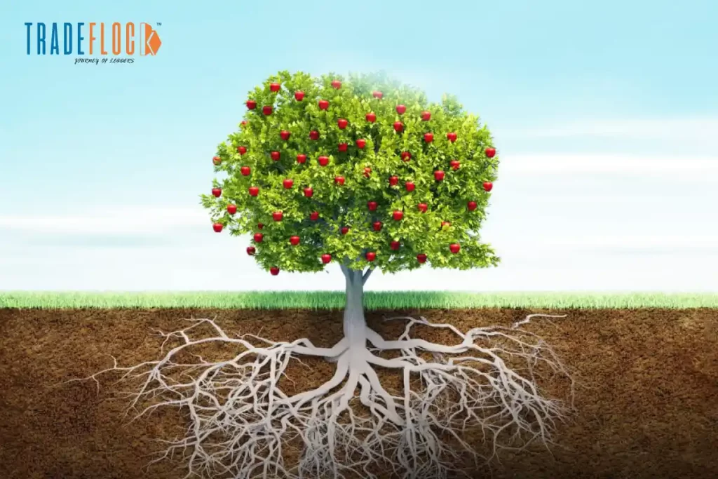 Built to Last: What Makes Companies Thrive for Decades