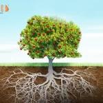Built to Last: What Makes Companies Thrive for Decades