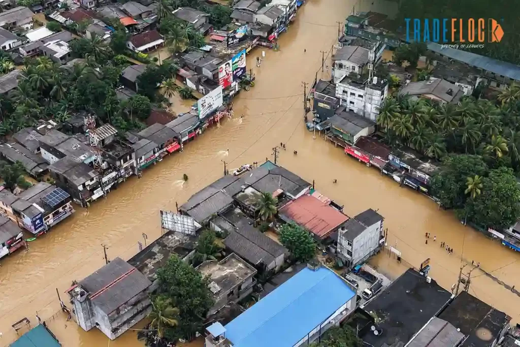 Beyond the Eye of the Storm: Ditwah’s Trail of Destruction and Unity