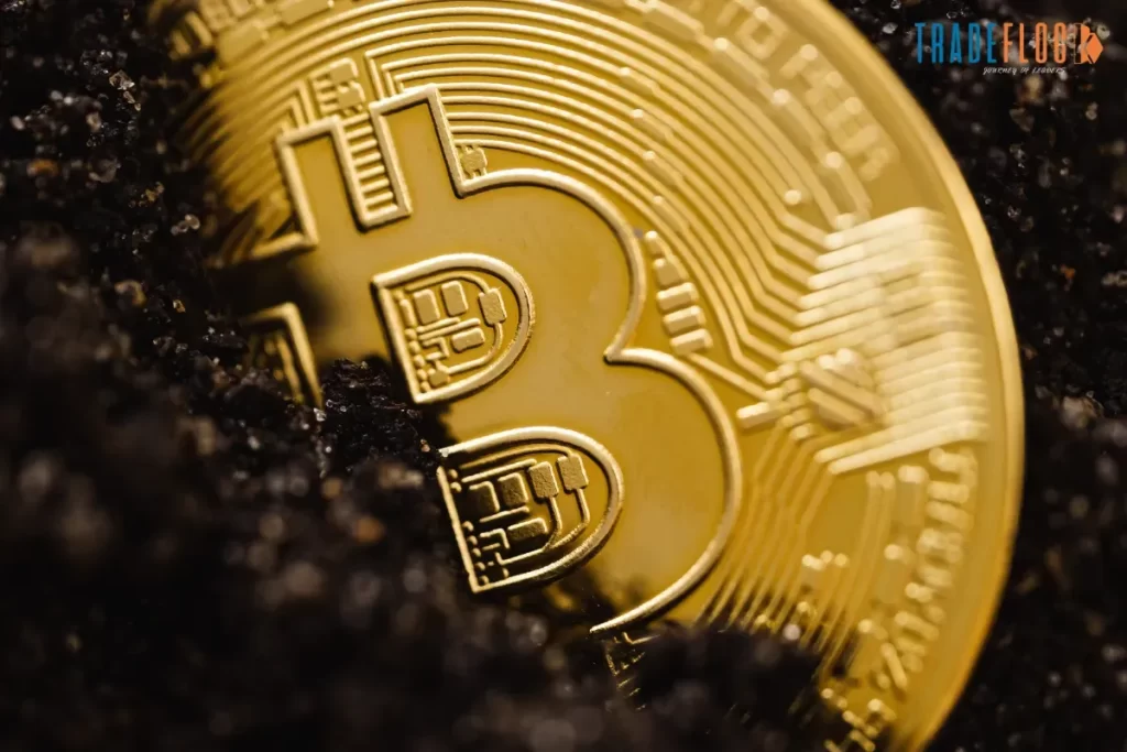 What Is Bitcoin? A Beginner’s Guide to the Cryptocurrency